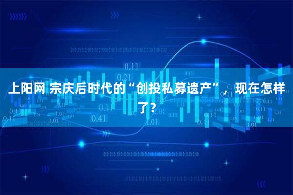 上阳网 宗庆后时代的“创投私募遗产”，现在怎样了？